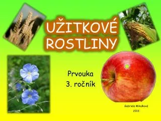u itkov rostliny