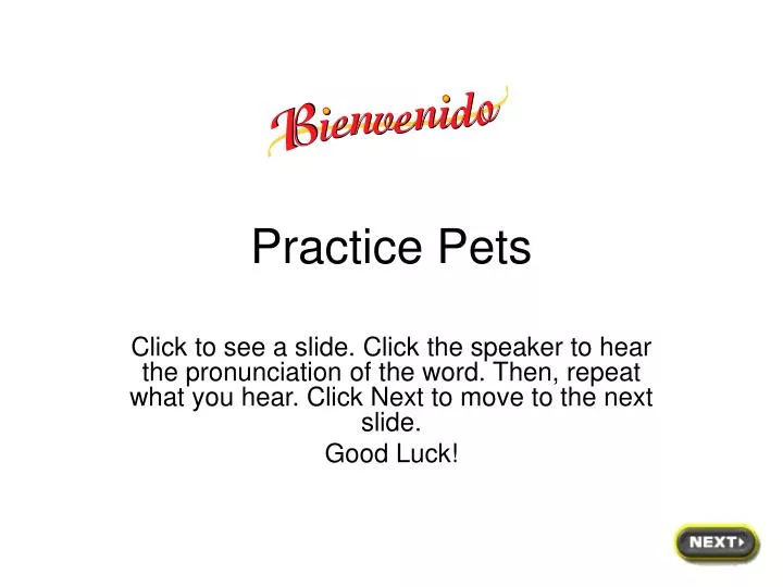 practice pets