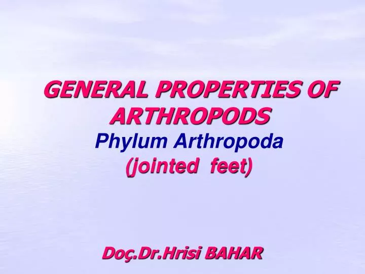 general properties of arthropods phylum arthropoda jointed feet