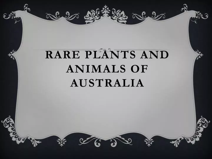 rare plants and animals of australia