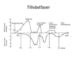tillv xtfaser