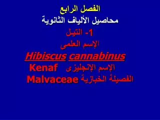 1 hibiscus cannabinus kenaf malvaceae