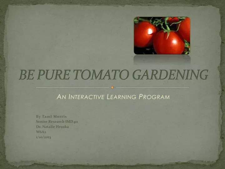 be pure tomato gardening