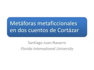 santiago juan navarro florida international university