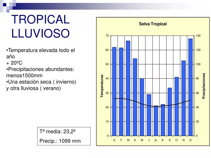 tropical lluvioso