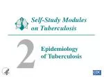 Self-Study Modules on Tuberculosis - slide 1