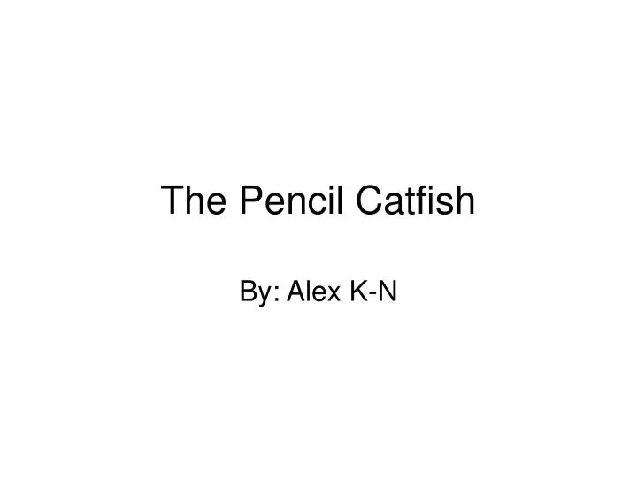 the pencil catfish
