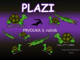 plazi