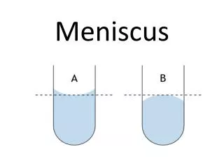 Meniscus