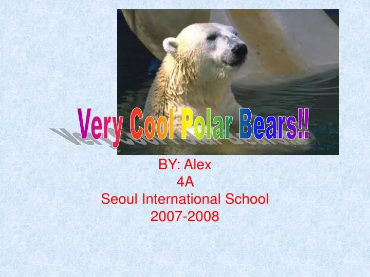 by alex 4a seoul international school 2007 2008
