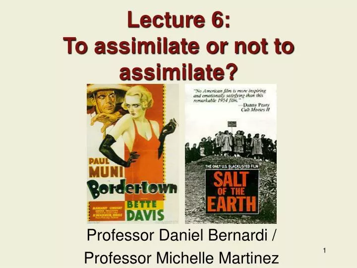 lecture 6 to assimilate or not to assimilate