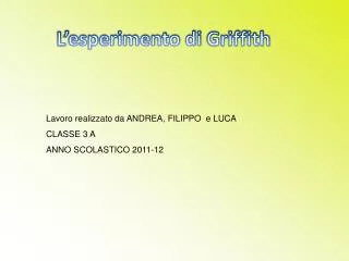 l esperimento di g riffith