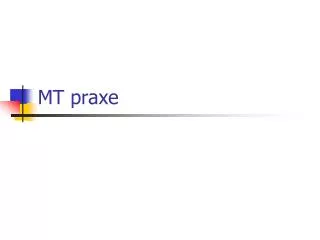 mt praxe