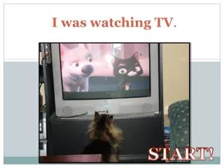 I was watching TV .