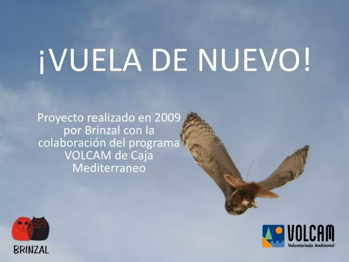 vuela de nuevo