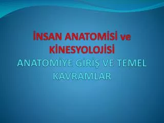 nsan anatom s ve k nesyoloj s anatom ye g r ve temel kavramlar