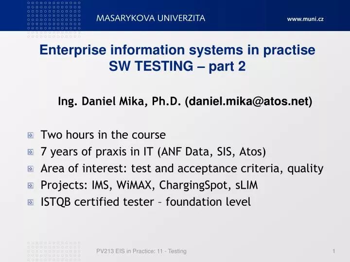 enterprise information systems in pra ctise sw testing part 2