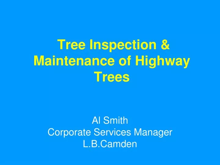 tree inspection maintenance of highway trees