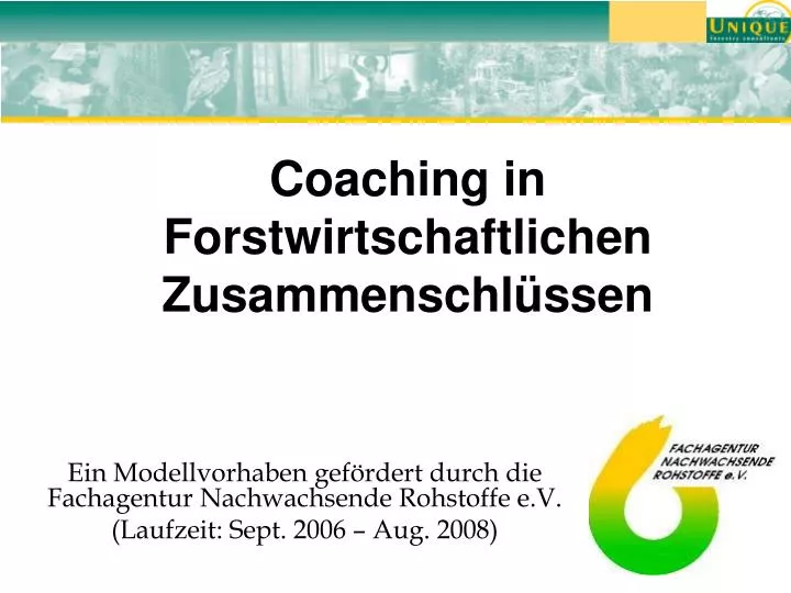 coaching in forstwirtschaftlichen zusammenschl ssen