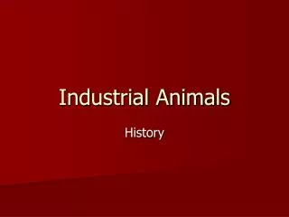 Industrial Animals