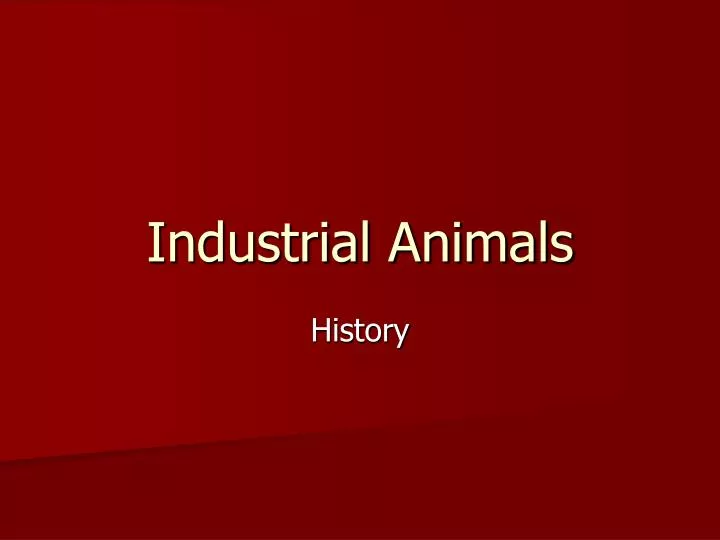industrial animals