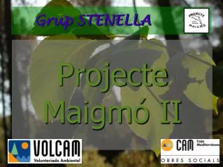 projecte maigm ii