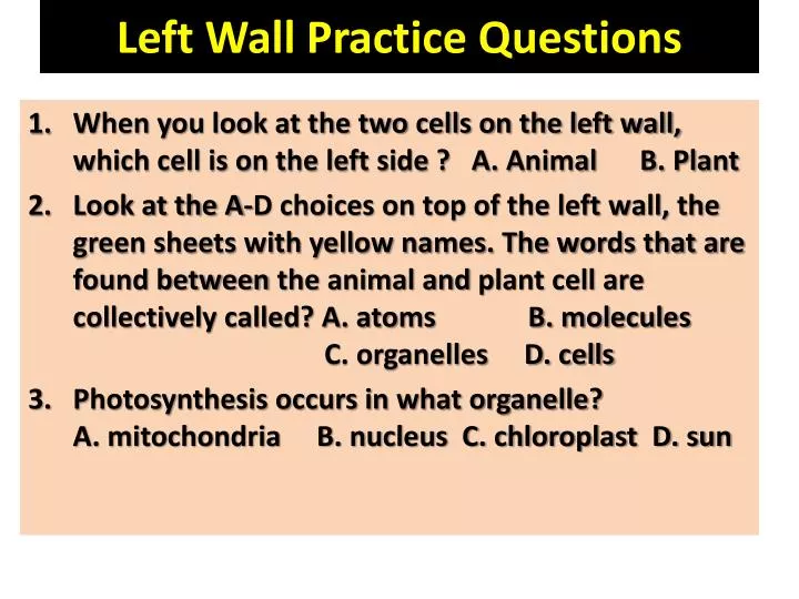 left wall practice questions