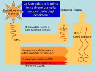 IL SOLE