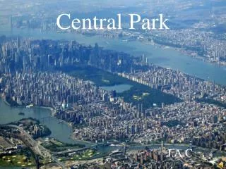 central park