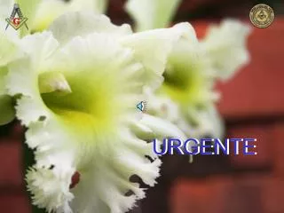 urgente