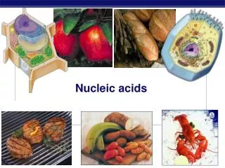nucleic acids