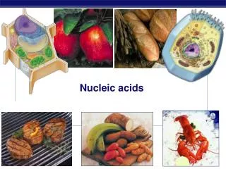 nucleic acids