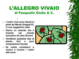 l allegro vivaio di pasqualin giulia c