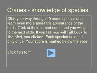 Cranes - knowledge of species
