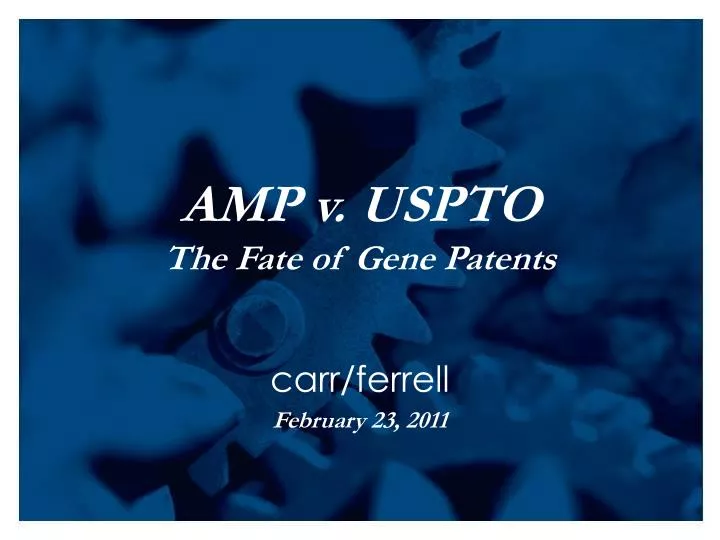 amp v uspto the fate of gene patents