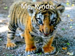 Me, Kyndel