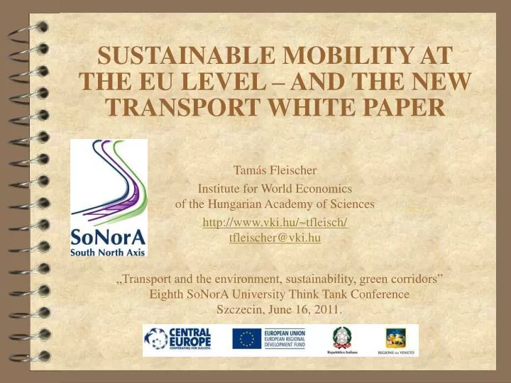 sustainable mobility at the eu level and the new transport white paper