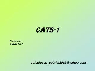 cats 1