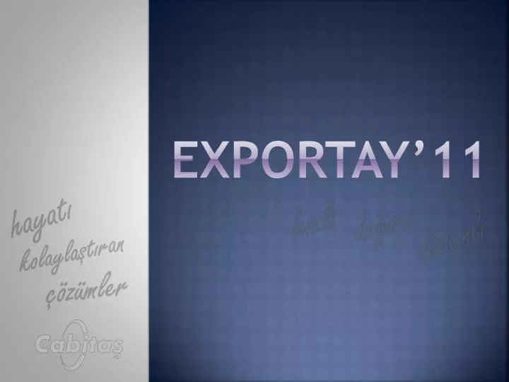 exportay 11