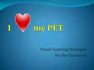 Visual Learning Strategies for the Classroom