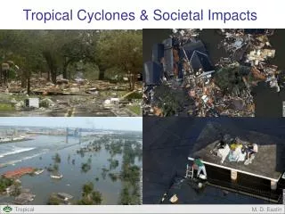 Tropical Cyclones &amp; Societal Impacts