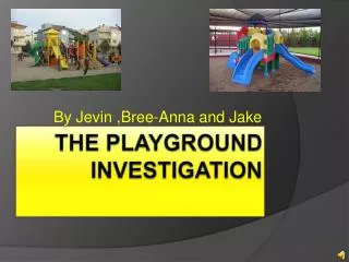 The Playground Investigation
