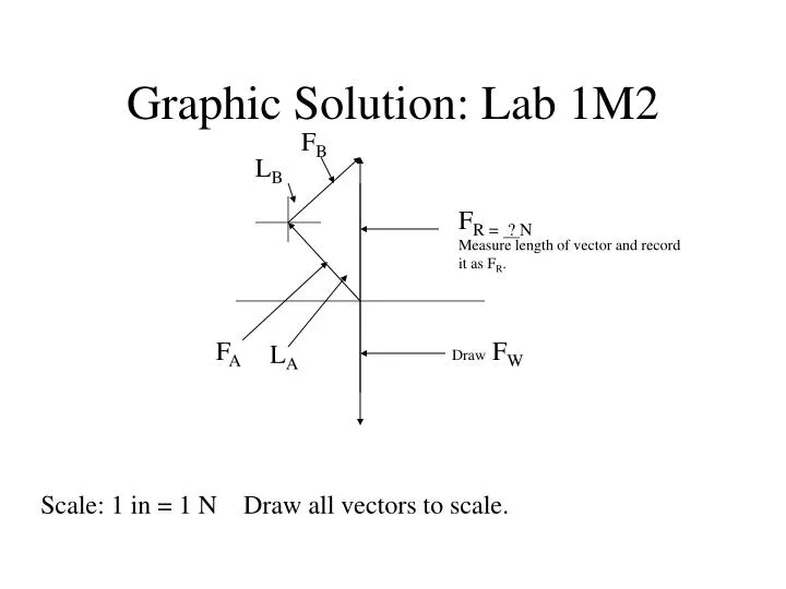 graphic solution lab 1m2