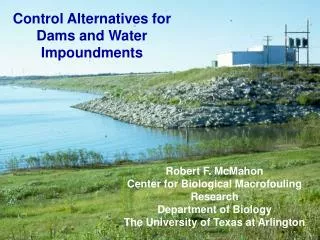 Control Alternatives for Dams and Water Impoundments