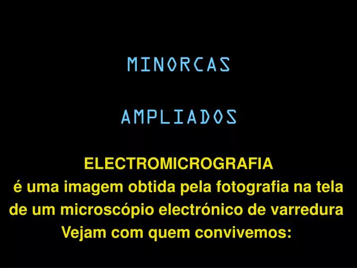 minorcas ampliados