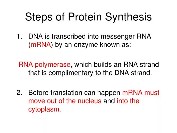 steps of protein synthesis