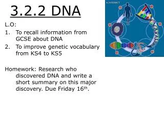 3.2.2 DNA