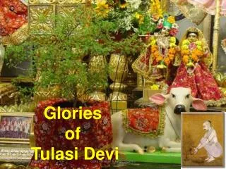 Glories of Tulasi Devi