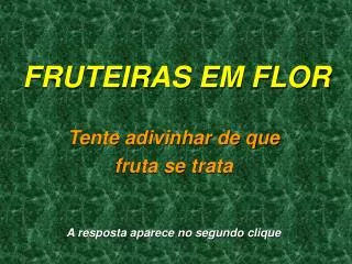 fruteiras em flor
