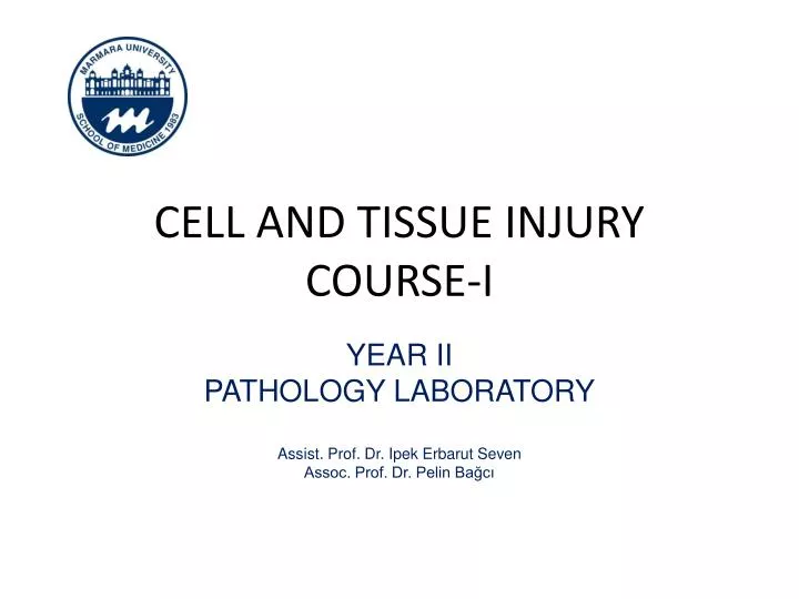 cell and tissue injury course i